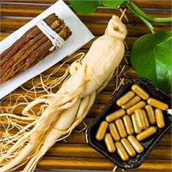 Sâm - Yến Sào